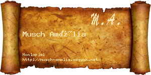 Musch Amália névjegykártya